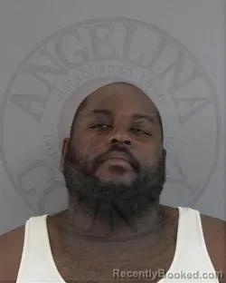 Mugshot of DERICK LEE JOHNSON