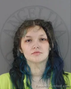 Mugshot of CARLEIGH BETHE RODGERS
