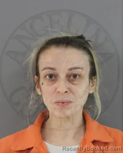 Mugshot of AUDREY KYLEENE HILL