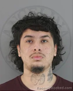 Mugshot of DAMIAN OMAR SALINAS