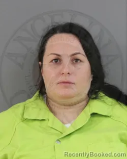 Mugshot of PRISCILLA MARIE HOPKINS