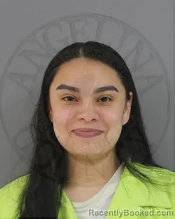 Mugshot of JANESSA MARIE MARTINEZ