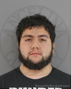 Mugshot of REYNALDO SANTOYO