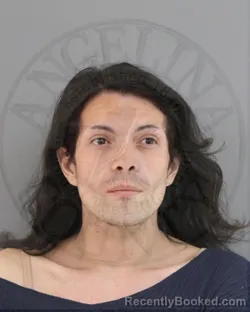 Mugshot of JOSE OLIVEROUS SANCHEZ