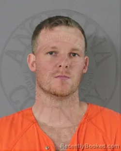 Mugshot of RONALD LEE