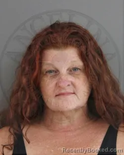 Mugshot of TINA BETH COSTELLO