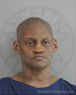 Mugshot of LAVETTA CHERRELL HARRISON