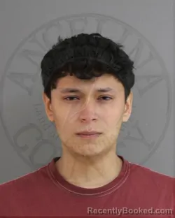 Mugshot of OSCAR TORRES VENEGAS