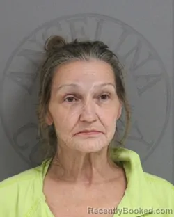 Mugshot of TERESA GAIL JOHNSON booked in Angelina County, Texas on July 29, 2026