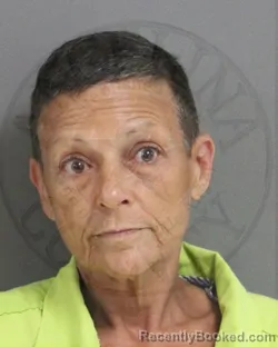 Mugshot of THERESA SPEARS booked in Angelina County, Texas on July 29, 2026