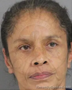 Mugshot of Maria Susana Holeman booked in Angelina County, Texas on October 5, 2026
