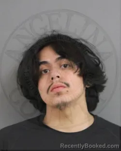Mugshot of Timothy Ancira booked in Angelina County, Texas on October 17, 2026