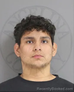 Mugshot of Ezequiel Alejandro Ayala booked in Angelina County, Texas on October 24, 2026