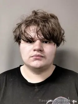 Mugshot of ADAM JOSEPH WILKES