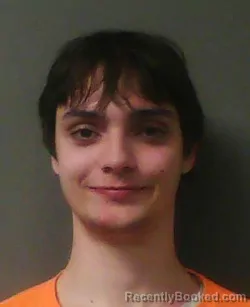 Mugshot of BRYCE LEE HALL