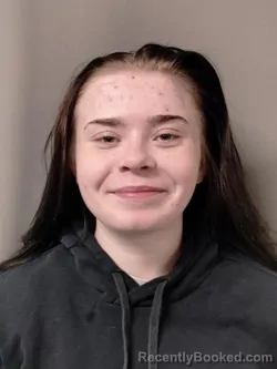 Mugshot of LEEANN DENISE HERRING