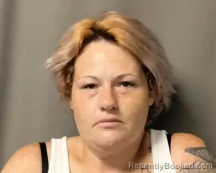 Mugshot of SHANNON ROSE FLYNN booked in Perry County, Missouri on July 17, 2026