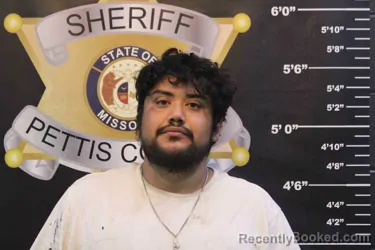 Mugshot of LUIS SOTELO ALVARADO