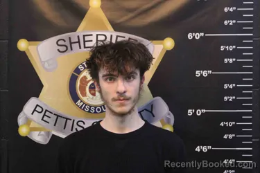 Mugshot of DONNIE WISER