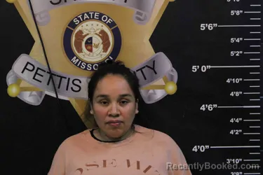 Mugshot of ANA SILVA-RUBIO