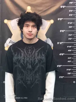 Mugshot of JUAN IGNACIO-CANO