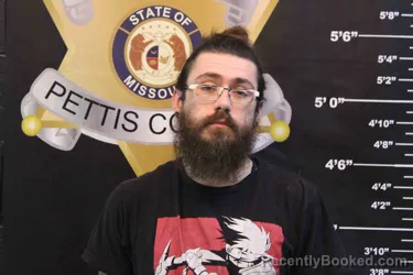 Mugshot of HARRY ERVIN