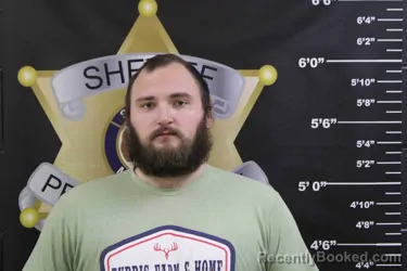 Mugshot of DILLON PETTIS