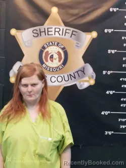 Mugshot of ERICA ARREDONDO