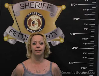 Mugshot of JENNIFER JOHNSON