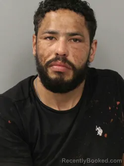 Mugshot of ANGELO JOHNSON