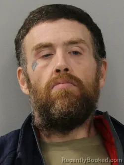 Mugshot of DAVID TOM WALKER