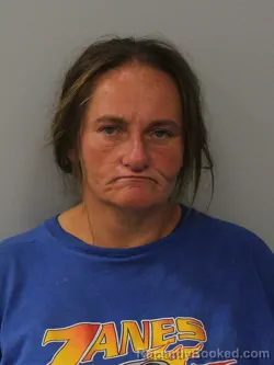 Mugshot of Sheila Ann Johnson booked in Phelps County, Missouri on September 3, 2026