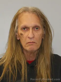 Mugshot of JAMES LEE WALLACE