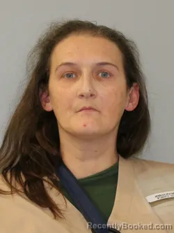 Mugshot of HEATHER RENEE HENNIGH