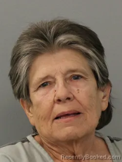 Mugshot of LINDA KAYE ROBISON booked in Phelps County, Missouri on March 20, 2026