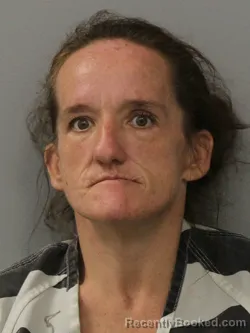 Mugshot of HEATHER LENORE POLK booked in Phelps County, Missouri on July 28, 2026