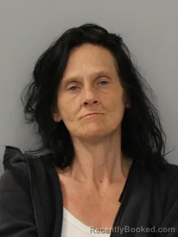 Mugshot of PAULA JEANETTE DOWDY booked in Phelps County, Missouri on April 1, 2026