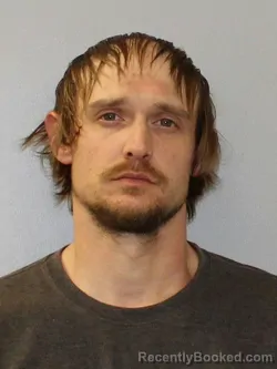 Mugshot of LEE MICHAEL STEAVENS