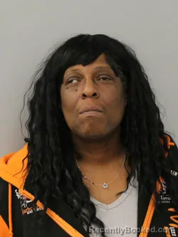 Mugshot of CARLA DENISE HYE booked in Phelps County, Missouri on March 22, 2026