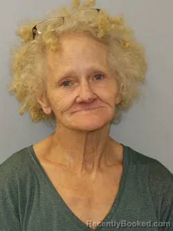 Mugshot of WILLA ANNETTE ANDREWS