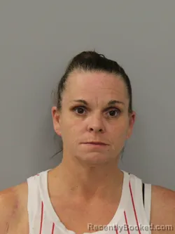 Mugshot of AMBER NICOLE AKINS booked in Phelps County, Missouri on April 27, 2026