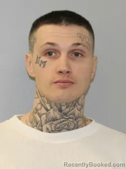 Mugshot of JAMES DOUGLAS ROBERT REIKER