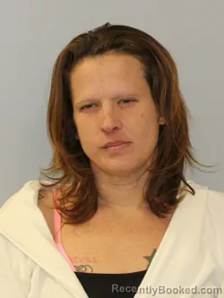 Mugshot of BRIEANN MARIE SEARS