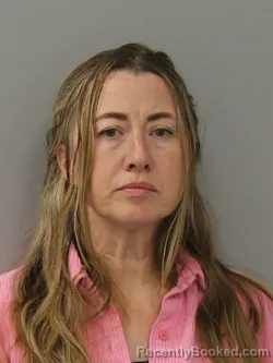 Booking photo from Phelps County, Missouri