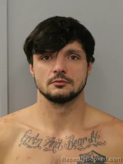 Booking photo from Phelps County, Missouri