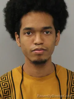 Mugshot of YUMIE RAY LIZAMA BOLDEN