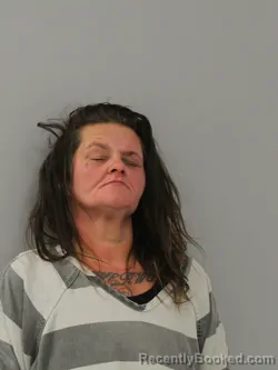 Mugshot of MICHELE DAWN BASINGER