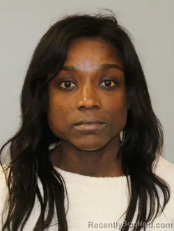 Mugshot of ARMANDE RHEA KESHER KETCHA-NAMEGNI