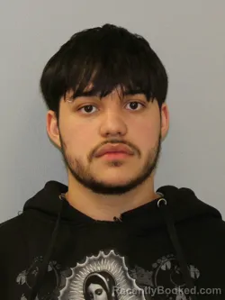 Booking photo from Phelps County, Missouri