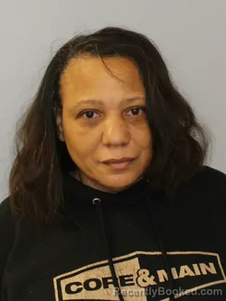 Mugshot of GLORIA DENISE COOK